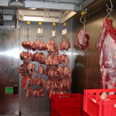nerezová lednice na vybourané maso se zavěšovací dráhou od firmy MASO-PROFIT